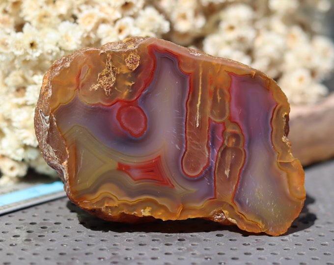 Half Agate Cut Polish Pattern Banded Superb Agate Slice From
