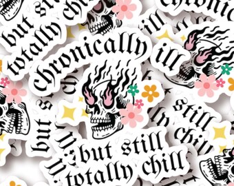Funny Chronic Illness Stickers Autoimmune Lupus My Immune System Is A Hater Hoe Multiple Sclerosis Decals Gift Spoonie Rheumatoid Arthritis