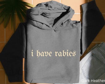 Trendy I Have Rabies Funny Hoodie Unhinged Meme Hooded Sweater Unique Weird Gifts Dark Humor Grunge Y2k Clothing, Gen Z Friend Siblings