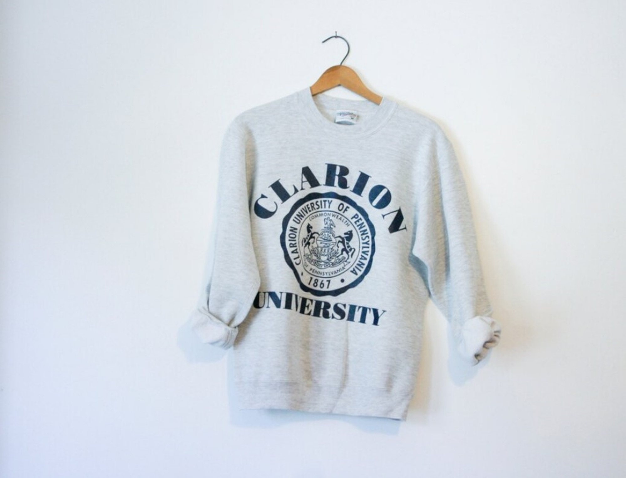 70's CHAMPION RAGLAN COLLEGE FLOCKY PRINT SWEAT SHIRTS Made