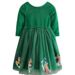 Mini Boden Girl&#39;s Velvet Tulle Applique Dress in Green