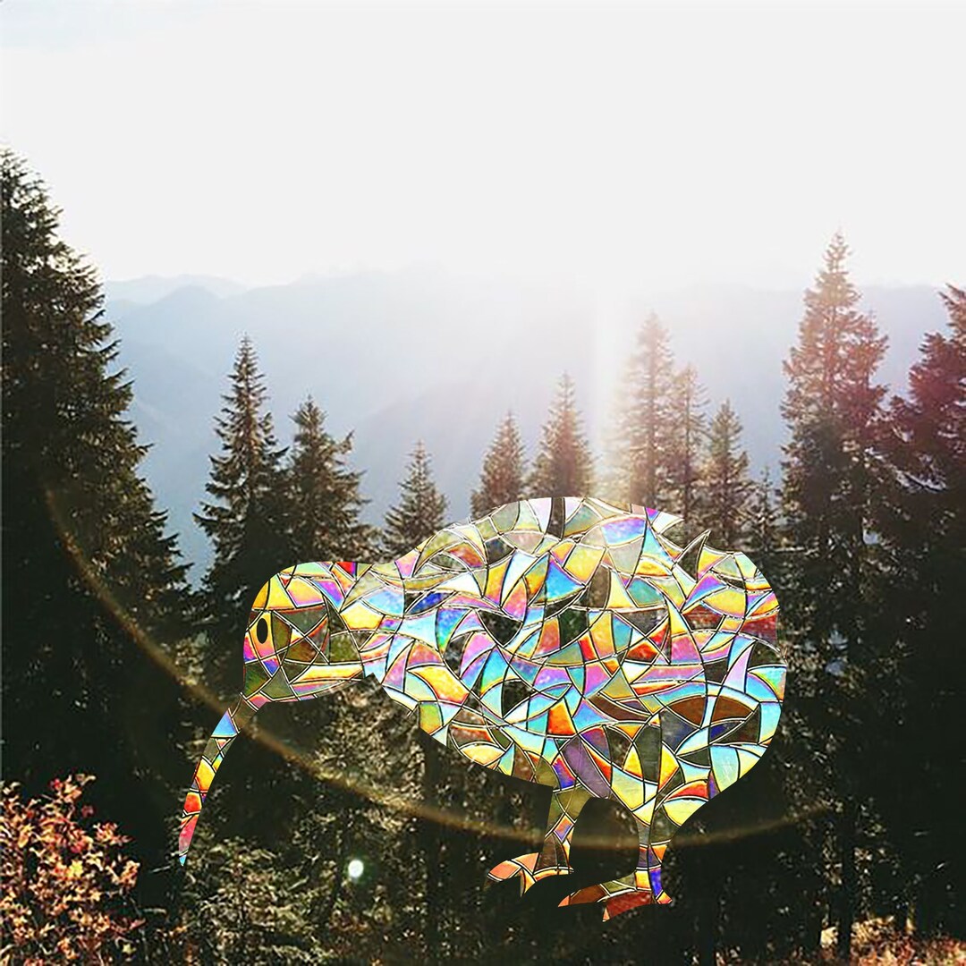 Kiwi Bird Sun Catcher Decal, Kiwi Ornament Sticker, Kiwi Bird