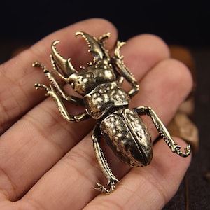 Conjunto de esculturas de escarabajo de latón, decoración de animales en miniatura