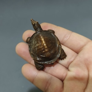 May include: A small, bronze-colored turtle figurine with a detailed shell and a slightly upturned head. The turtle is resting on a hand, but the hand is not visible in the image.