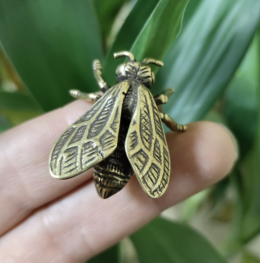 2pcs Mini New Solid Brass Insect Tea Pet Craft Ornament - Etsy
