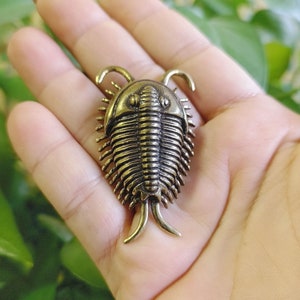 May include: A gold-toned trilobite brooch with intricate details. The brooch is a realistic representation of a trilobite fossil.