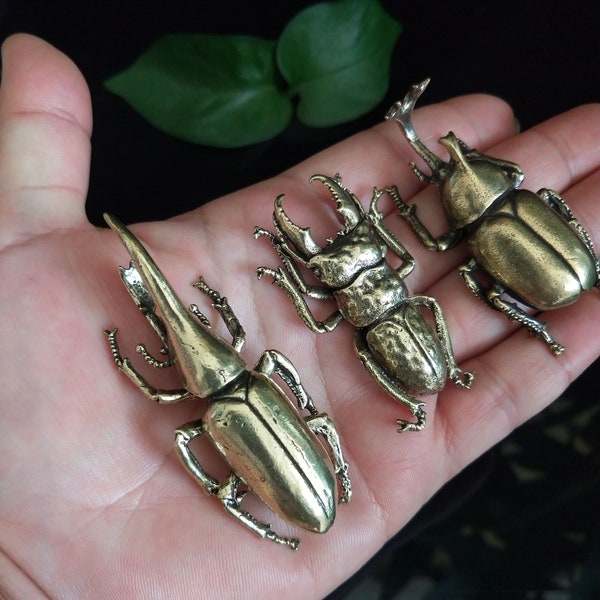 Get 3pcs Solid brass simulation insect tea pet sculpture pure copper creative beetle animal decoration