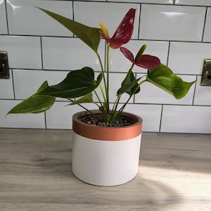 Modern indoor plant pot, small white flower pot with elegant copper design, modern minimalist pot.
