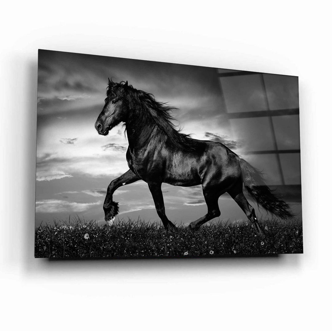 Tempered Glass Wall Art Black Horse Wall Art Panoramic Wall Decor