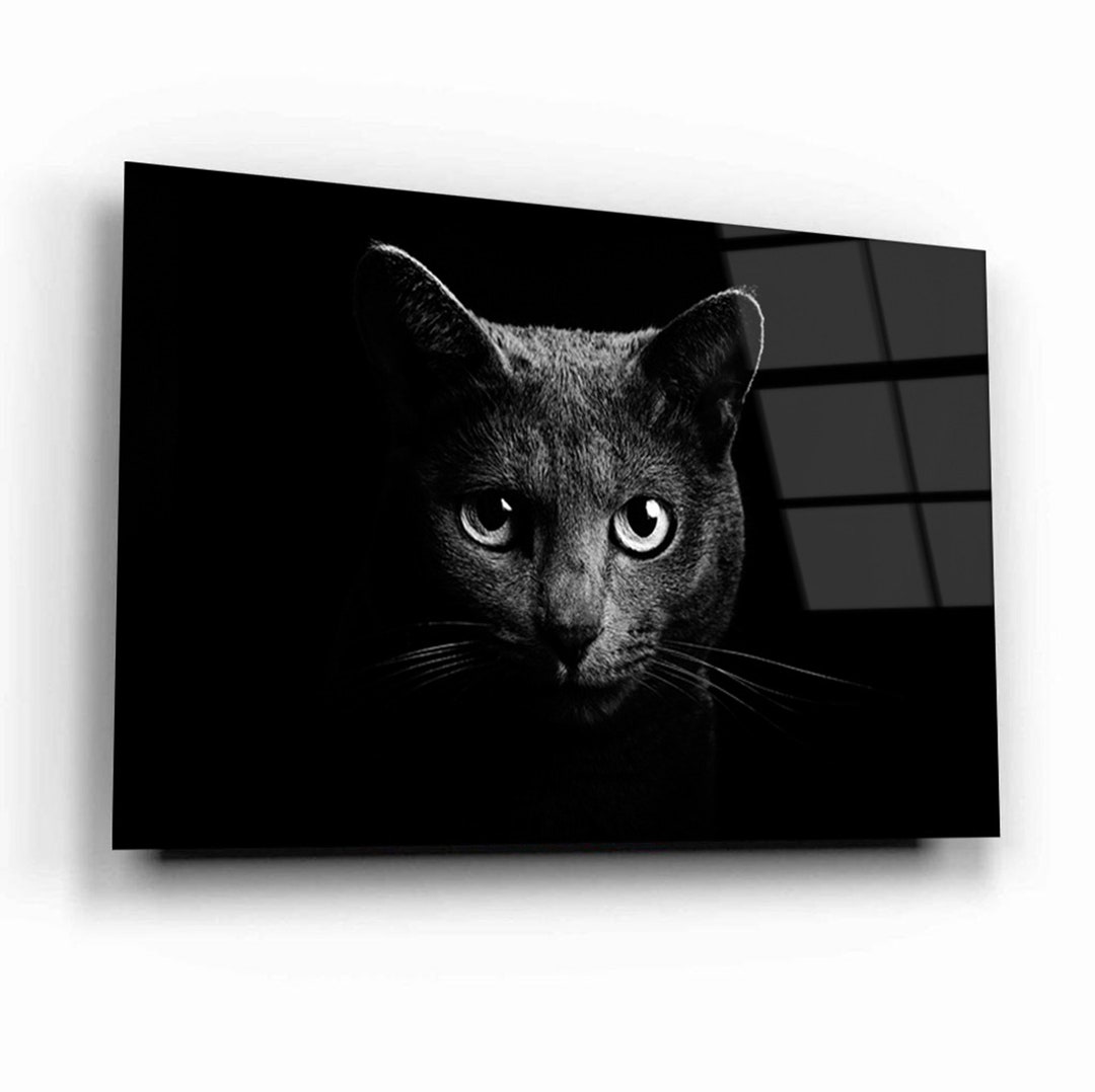 Tempered Glass Wall Art Black Cat Print Glass Wall Art Animal Wall Art