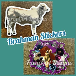 Brahman Stickers | Brahman Heifer | Red Brahman