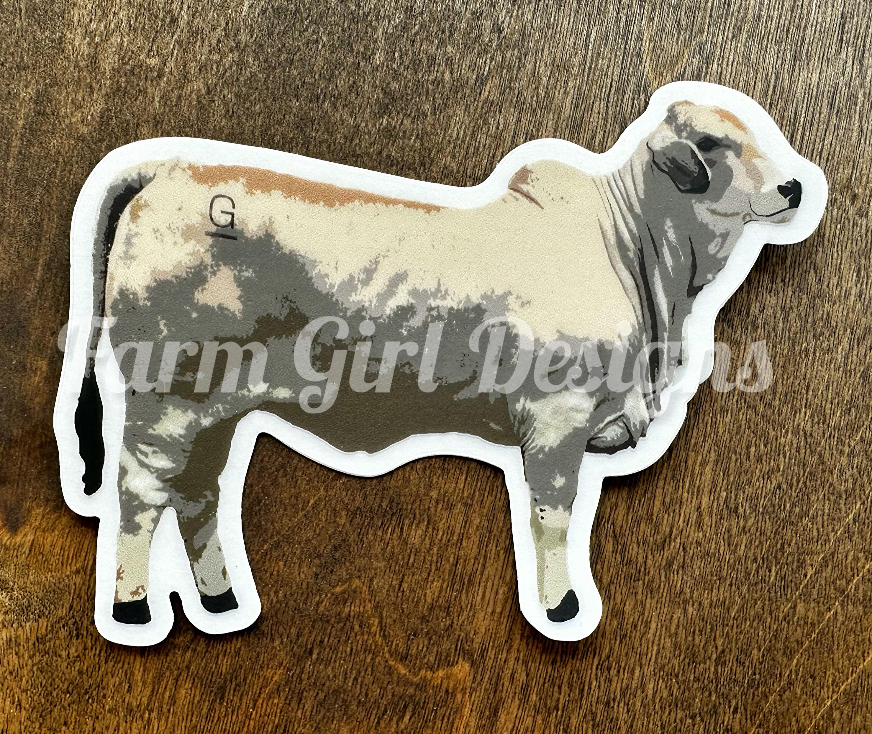 Brahman Heifer Sticker: Exclusive Design - Etsy