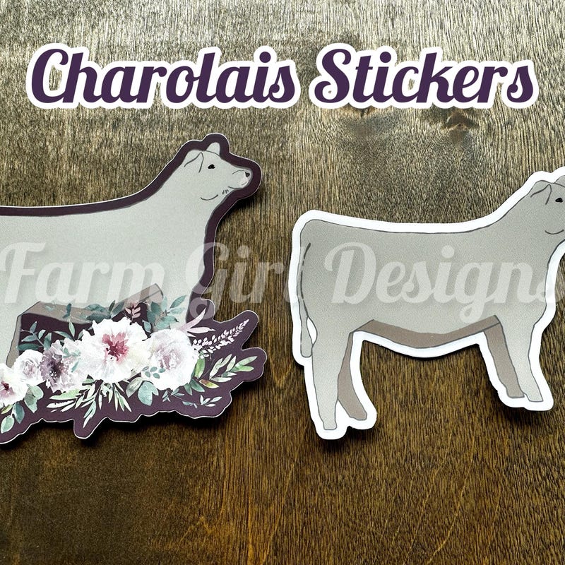 CactusandCowponies - Etsy