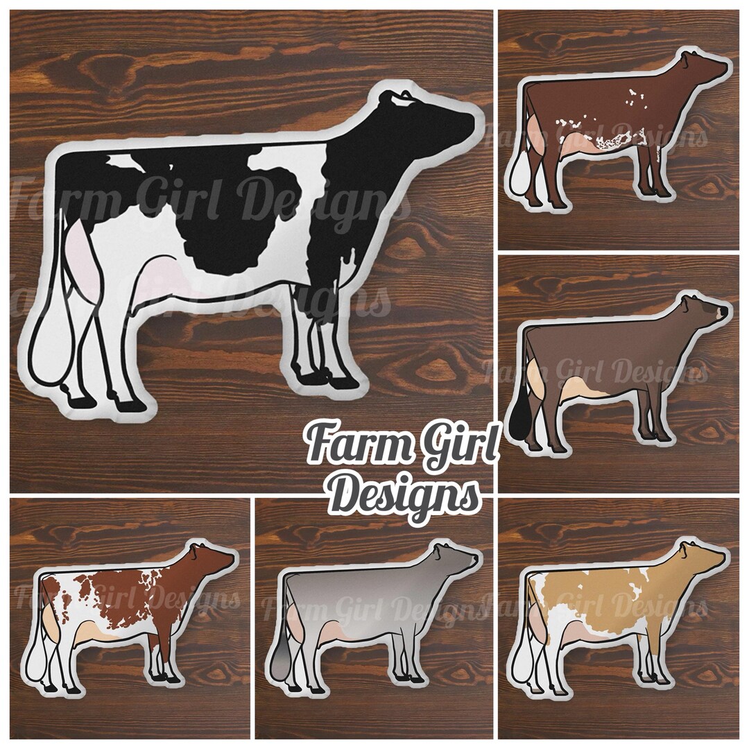 Dairy Cattle Breed Pillow | Holstein Jersey Brown Swiss Shorthorn ...