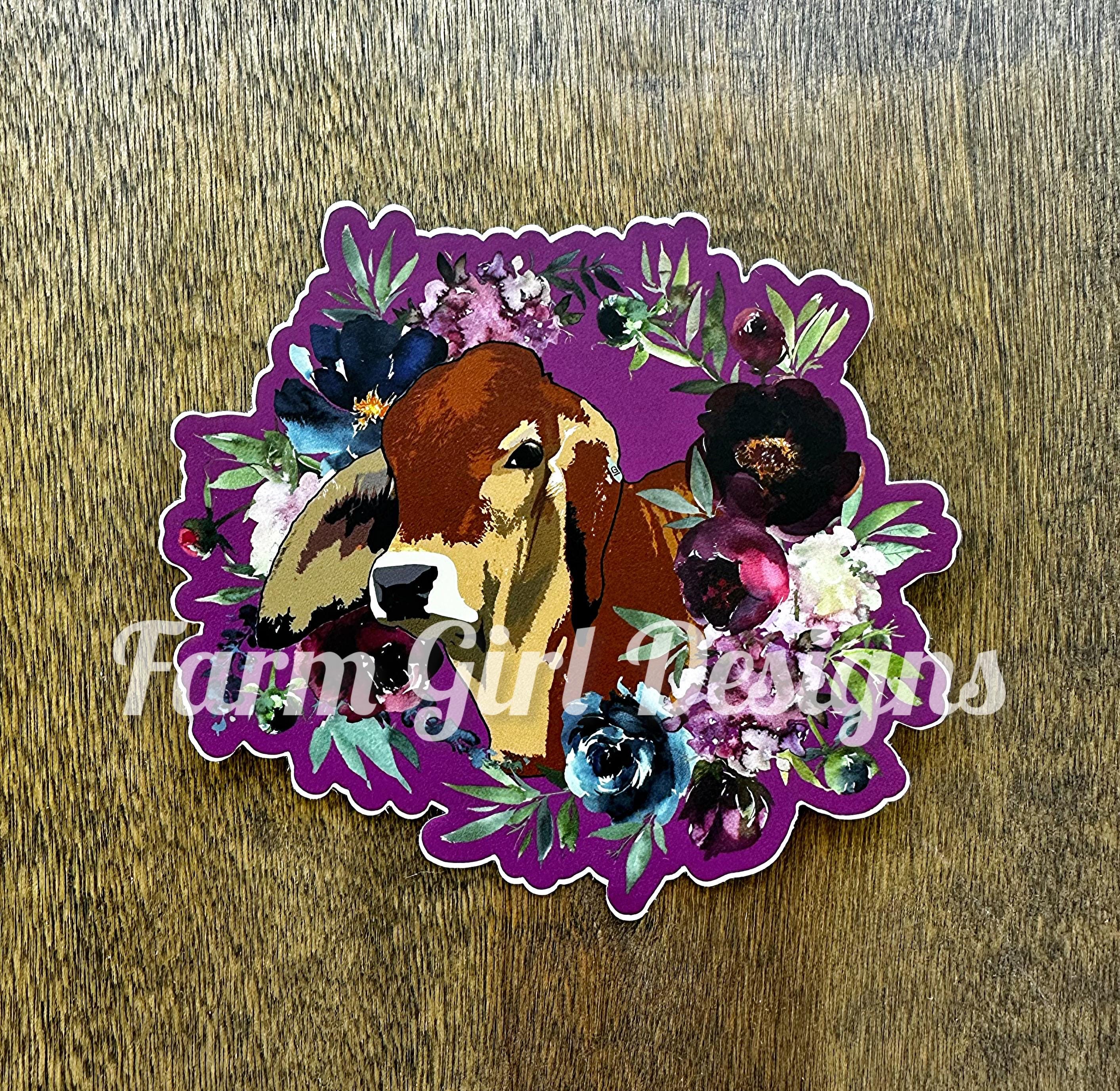 Brahman Heifer Sticker: Exclusive Design - Etsy