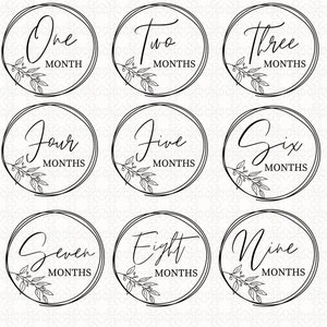 Baby Monatlicher Meilenstein svg, Baby monatlicher Meilenstein Runden SVG, Cricut, Silhouette, monatlicher Meilenstein für Baby usw