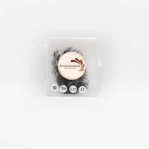 1000 Fans Eyelashes | Mixed Length False Eyelashes | Fake Eyelashes | Premade Fan Eyelashes | Volume Lash Extensions | Loose Lash Fans | 3D