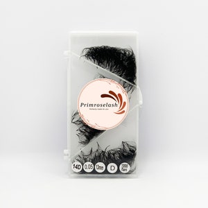 1000 Fans Eyelashes | Mixed Length False Eyelashes | Fake Eyelashes | Premade Fan Eyelashes | Volume Lash Extensions | Loose Lash Fans | 14D