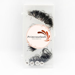 1000 Fans Eyelashes | Mixed Length False Eyelashes | Fake Eyelashes | Premade Fan Eyelashes | Volume Lash Extensions | Loose Lash Fans | 7D