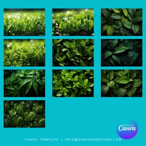Könnte beinhalten: Eine Collage aus neun Bildern mit verschiedenen grünen Blättern und Blattwerk. Die Bilder zeigen verschiedene Pflanzenarten, darunter Farne, Gras und breitblättrige Pflanzen. Die Blätter sind alle grün und scheinen mit Tau oder Regen benetzt zu sein.