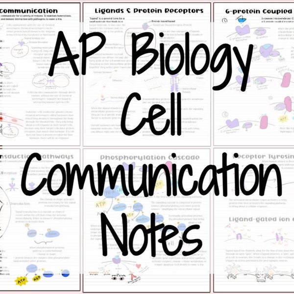 AP Biology Cell Communication Notes (Signal transduction Pathways)