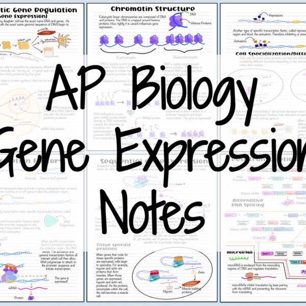 AP Biology Eukaryotic Gene Expression Notes