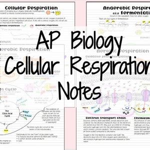 AP Biology Cellular Respiration Notes (Aerobic & Anaerobic Respiration)