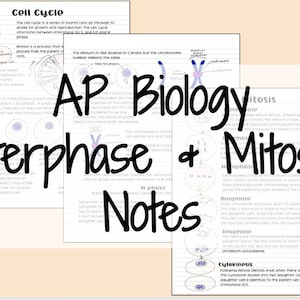 Puede incluir: Un diagrama colorido que ilustra el ciclo celular, la interfase y la mitosis. El diagrama incluye etiquetas de texto para cada fase, como profase, metafase, anafase y telofase. El diagrama también incluye ilustraciones de los cromosomas y otras estructuras celulares.
