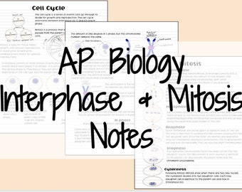Interphase & Mitosis Notes (AP Biology, General Biology)