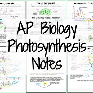 AP Biology Photosynthesis Notes - Etsy