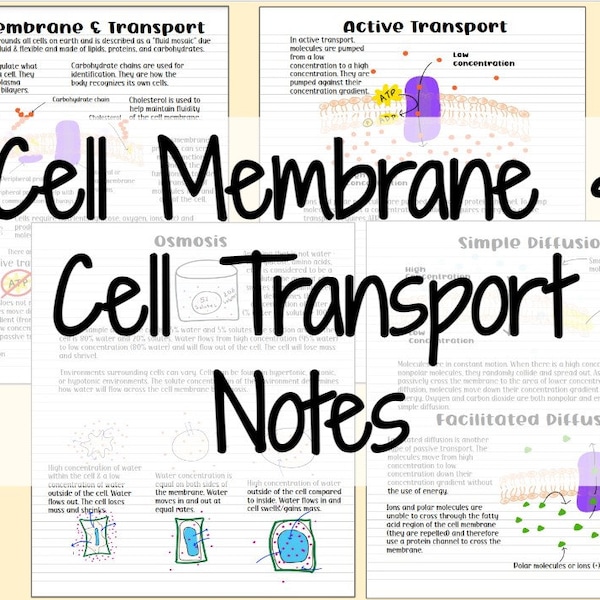 Cell Membrane & Cell Transport Notes (diffusion, facilitated diffusion, omosis, active transport)