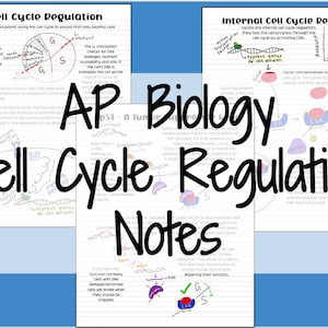 May include: Handwritten notes on a white background with colorful diagrams and text about cell cycle regulation in biology. The text includes "Cell Cycle Regulation", "AP Biology", "Notes", and "Internal Cell Cycle Regulation".