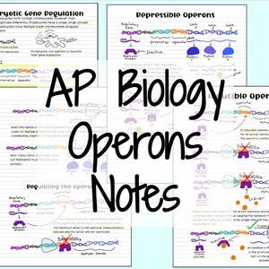 May include: A colorful diagram explaining the concept of operons in biology. The diagram shows the structure of an operon, including the promoter, operator, and genes. The diagram also shows how the operon is regulated by repressor proteins. The text "AP Biology Operons Notes" is written in large, bold letters across the image.