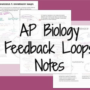 AP Biology Feedback Loops Notes