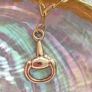 May include: A gold-colored necklace featuring a horse bit pendant. The pendant is suspended from a delicate chain. The necklace is displayed on a pearlescent, iridescent surface, with a hint of greenery in the background.