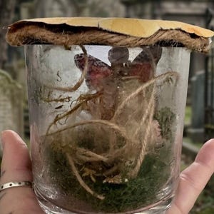 May include: A clear glass jar containing a small figurine with reddish wings, green moss, and tangled twine. The jar is topped with a circular, textured tan lid secured by a thick jute rope wrapped around the rim, creating a rustic, enclosed display.
