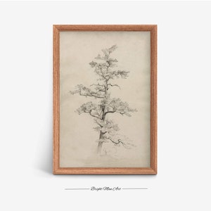 Antiker Rustikaler Baum Skizze | Neutrale Vintage Digitale Kunst DRUCKBARE Download |P179