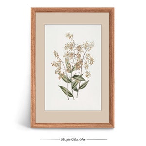 PRINTABLE Wall Art Vintage Muted  Botanical Plant Illustration | Digital Download Art Print Farmhouse Dining Room Decor