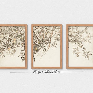 May include: A set of three framed prints featuring a watercolour illustration of a branch of a tree with leaves and fruit. The prints are in a light wood frame and have a white background.