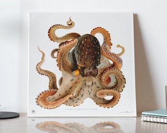 Octopus Antique Printed Art, Antique Marine Animal Poster,  Octopus Wall Art Poster, Octopus Vulgaris, House Warming Gifts