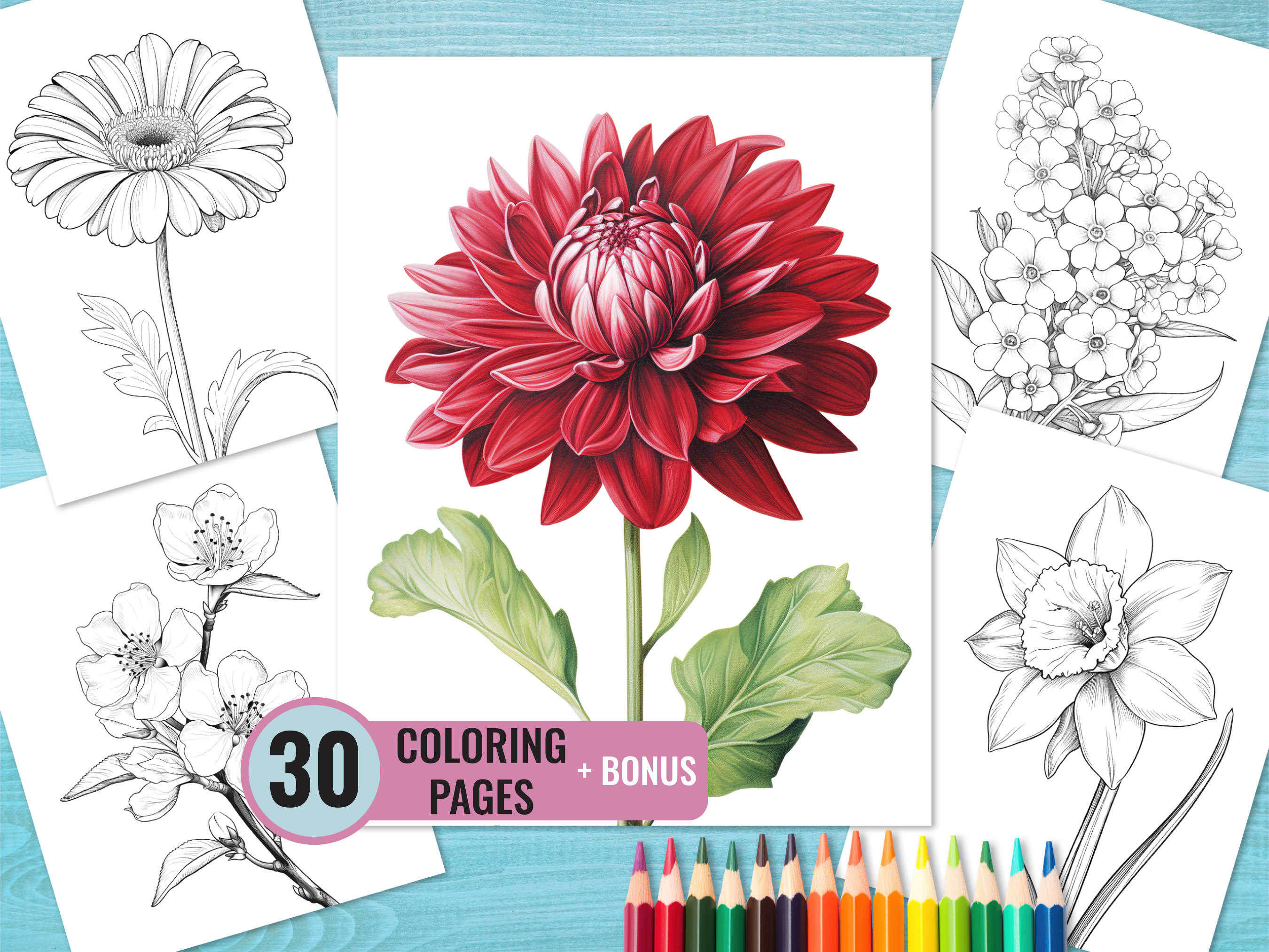 Flower Coloring Pages, 30 Printable PDF Pages for Adults and Kids ...