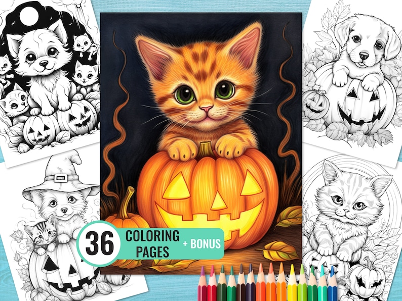 May include: A colouring book featuring 36 pages of cute cats and pumpkins for Halloween. The cover shows an orange tabby cat sitting inside a jack-o-lantern.