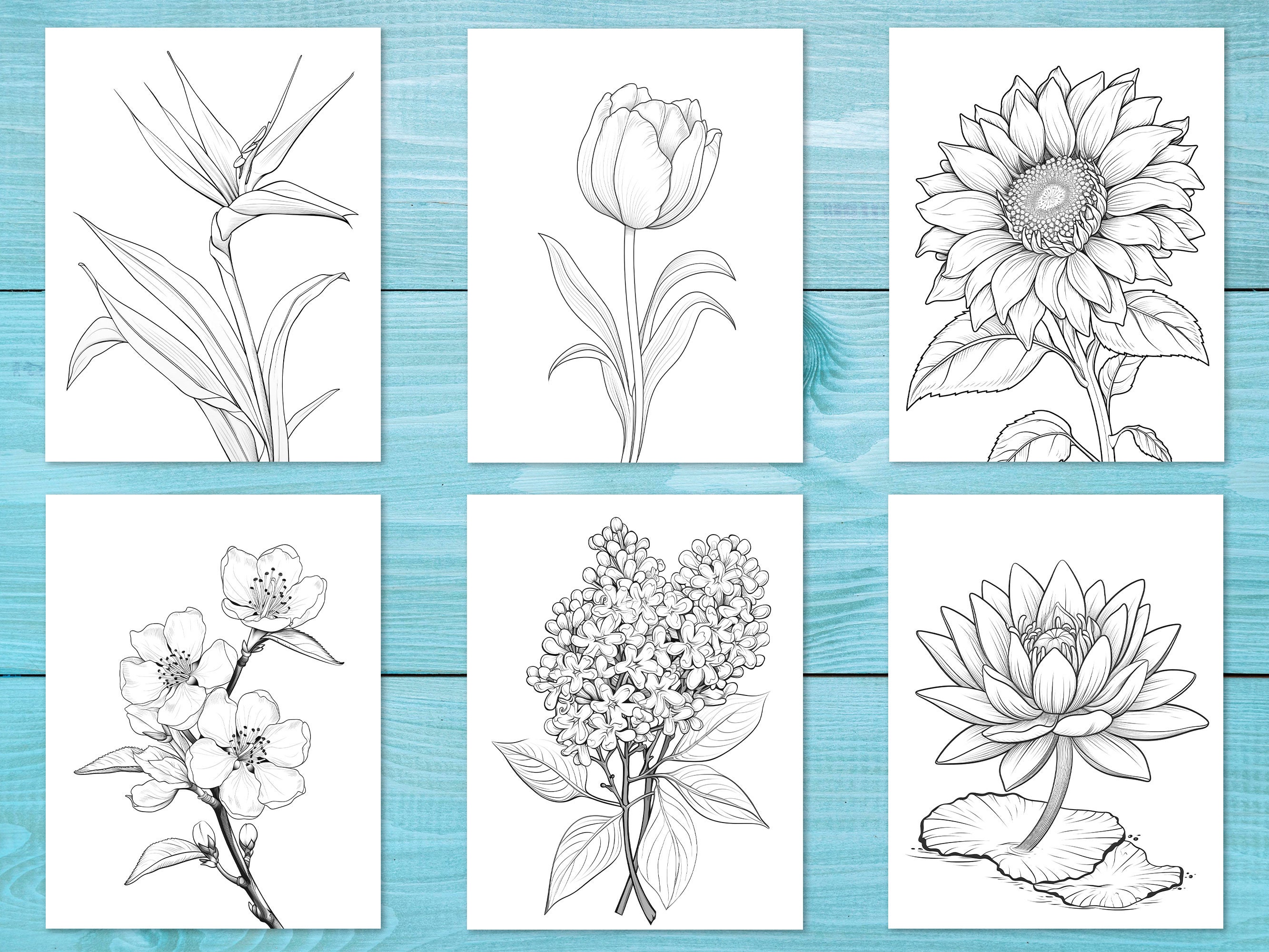 Flower Coloring Pages, 30 Printable PDF Pages for Adults and Kids ...