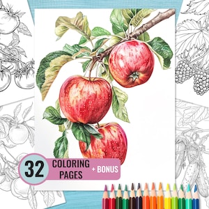 Könnte beinhalten: Ein Malbuch mit 32 Seiten mit Illustrationen von Äpfeln, Tomaten, Brombeeren und Gurken. Das Cover zeigt einen Zweig mit roten Äpfeln und grünen Blättern.