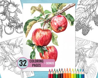 May include: A coloring book with 32 pages featuring illustrations of apples, tomatoes, blackberries, and cucumbers. The cover shows a branch of red apples with green leaves.