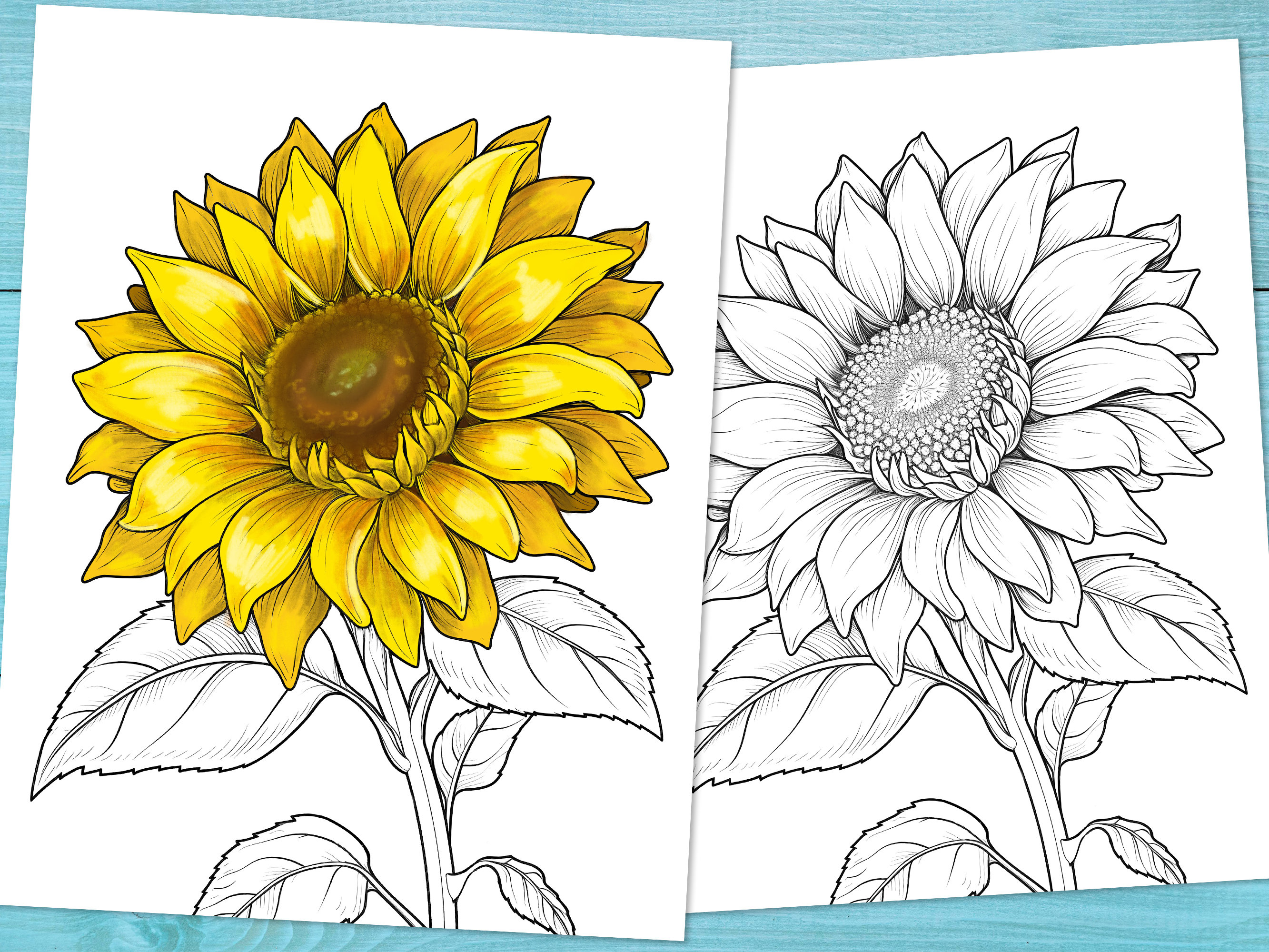 Flower Coloring Pages, 30 Printable PDF Pages for Adults and Kids ...