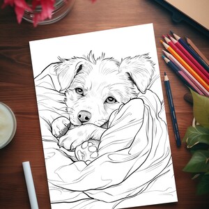 Pode incluir: Um desenho de linha preto e branco de um cachorrinho enroscado em um cobertor. O cachorrinho est&aacute; olhando para o espectador com a cabe&ccedil;a apoiada nas patas.