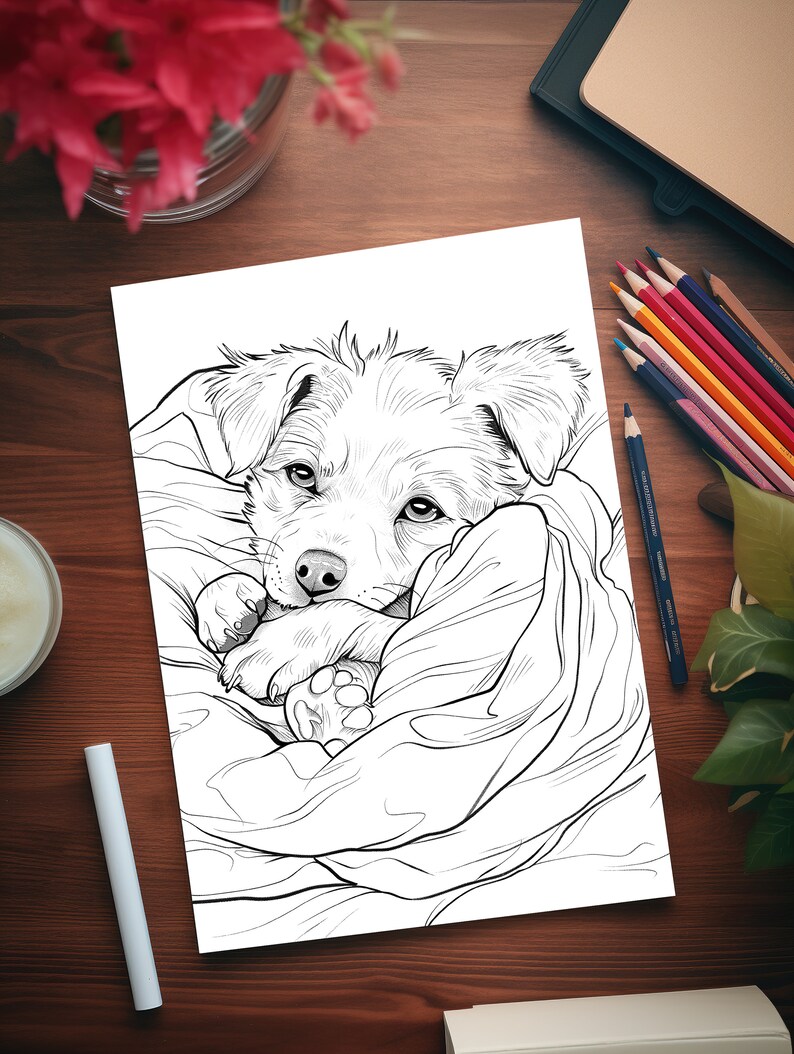 Pode incluir: Um desenho de linha preto e branco de um cachorrinho enroscado em um cobertor. O cachorrinho est&aacute; olhando para o espectador com a cabe&ccedil;a apoiada nas patas.