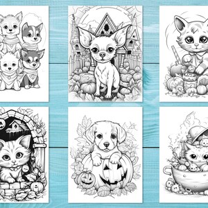 K&ouml;nnte beinhalten: Ein Set mit sechs Schwarzwei&szlig;-Malvorlagen mit niedlichen Tieren, die sich f&uuml;r Halloween verkleidet haben. Zu den Tieren geh&ouml;ren eine Katze, ein Hund und ein Chihuahua. Die Bilder sind vor einem Hintergrund aus K&uuml;rbissen, Bl&auml;ttern und anderen Halloween-Dekorationen angeordnet.