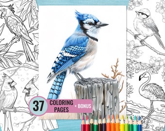 Livro de colorir de pássaros, 37 páginas com penas para imprimir para adultos e crianças, página de colorir de aves, download instantâneo